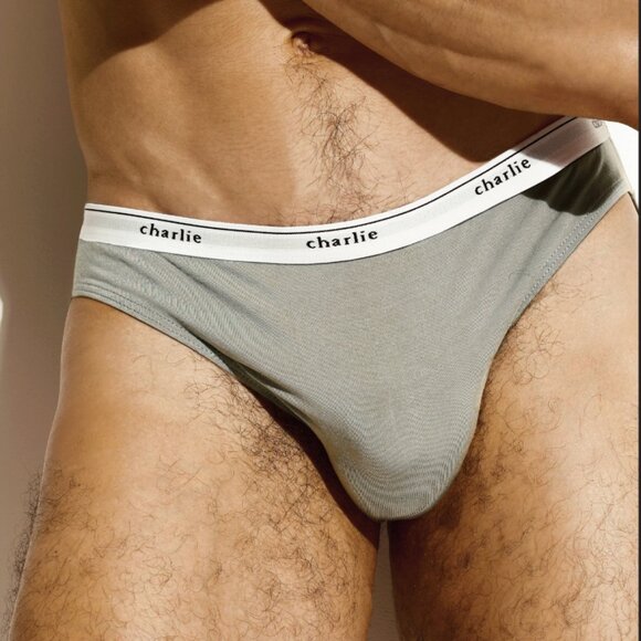 Charlie by MZ Minimal Grey Bikini Brief XL - Picture 1 of 5